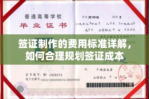 孝昌签证制作的费用标准详解，如何合理规划签证成本